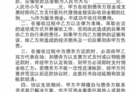黄梅如何避免债务纠纷？专业追讨公司教您应对之策