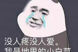 黄梅为什么选择专业追讨公司来处理您的债务纠纷？